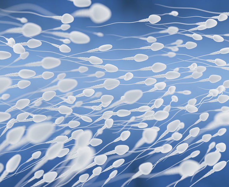 Spermatozoide-shutterstock-1